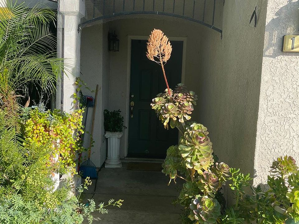 2nd image of 1242 Sunup Dr