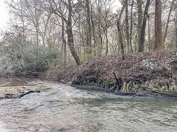 4th image of 741 Double Creek Rd