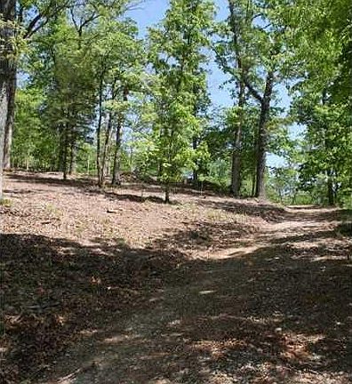 5th image of 10371 Coose Hollow Ln