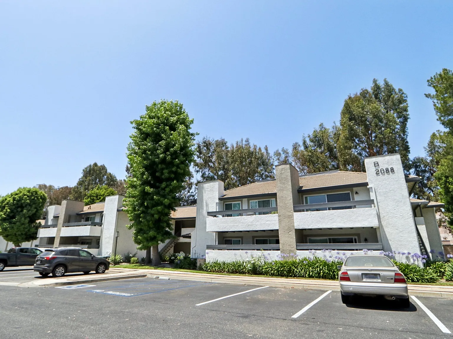 The Linden Apartments — Photo 1