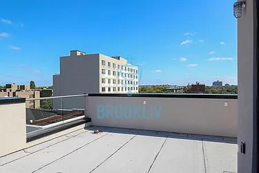 Rented by null