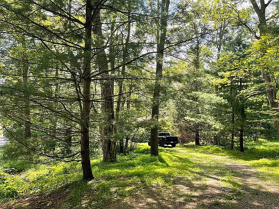 View from the driveway