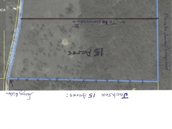 000 Mooney Hollow Drive, Licking, MO 65542