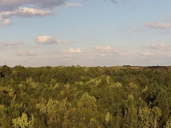 9 Driftwood Ln, Hilton Head Island, SC 29928