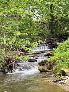 8205 Buck Creek Rd, Marion, NC, 28752