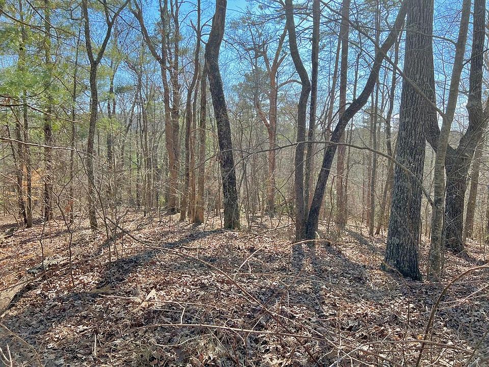 1st image of 113 Beech Tree Dr