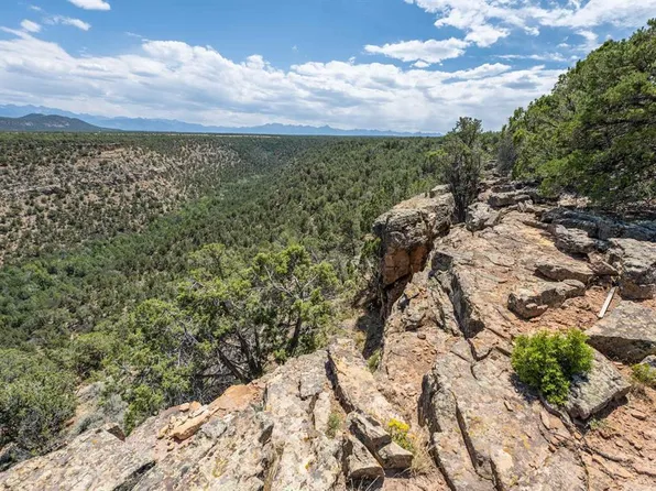 277 Cotton Lane, Montrose, CO 81403