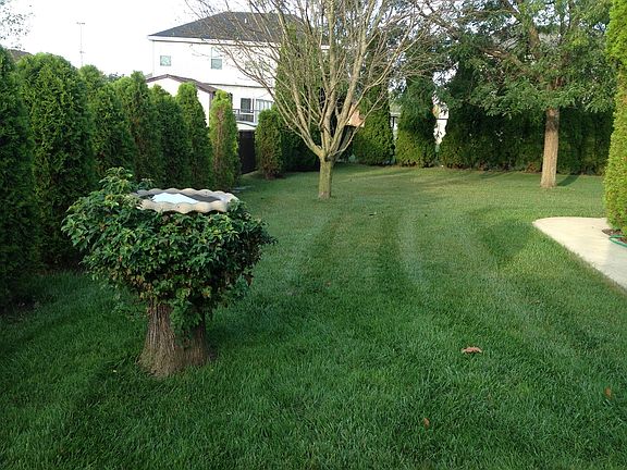 4th image of 1113 Greeley Dr