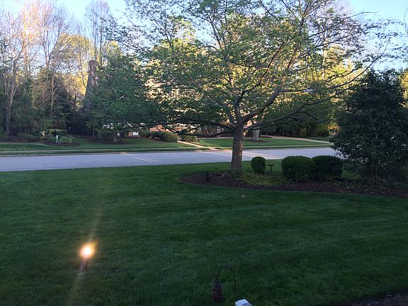 Front yard 