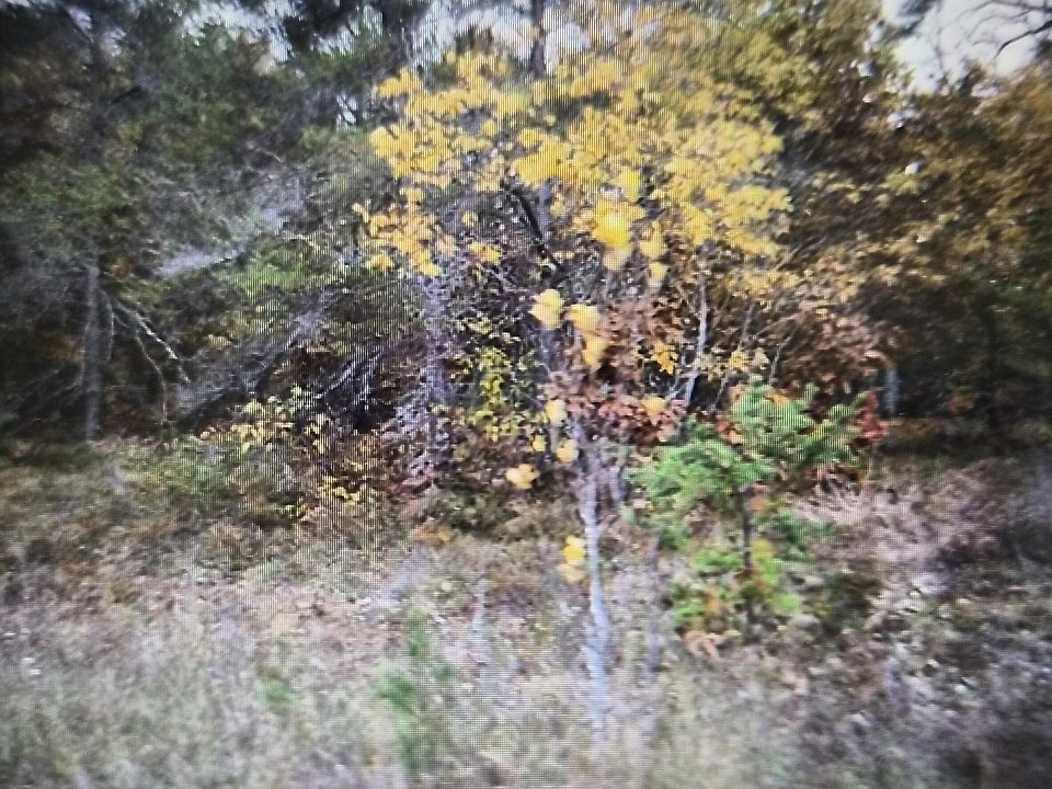 1st image of 33 Northwood Dr