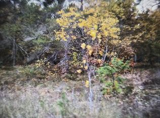 33 Northwood Dr, Grayling, MI