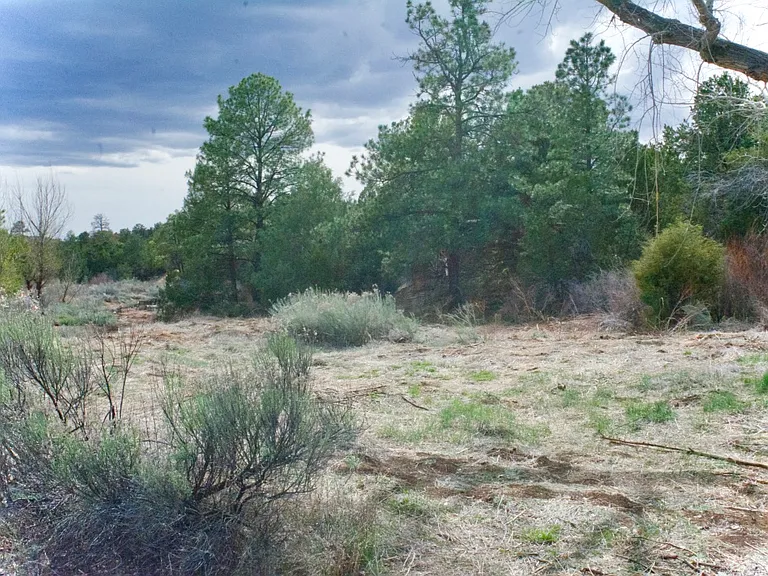 39 Burro Bend Rd #A — Photo 18
