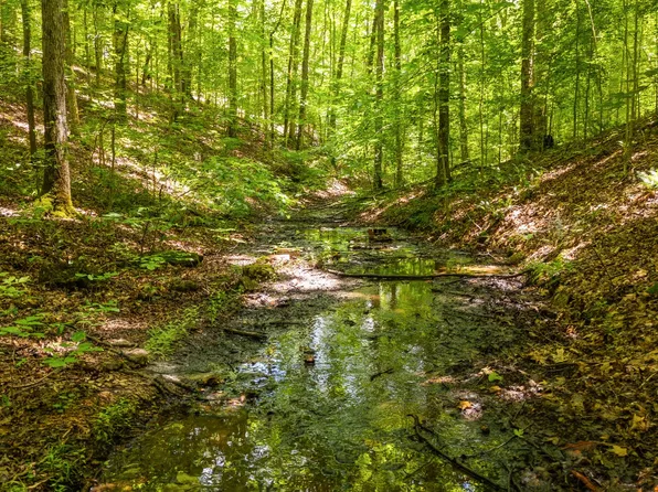5609 Wilkins Branch Rd, Franklin, TN 37064