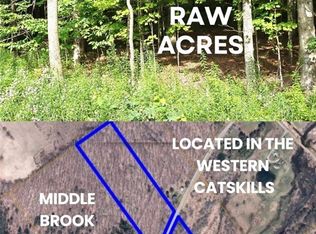 County Roue #29-LOT 2, Jefferson, NY 12093