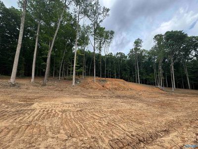 900-13 County Road 114, Scottsboro, AL, 35769