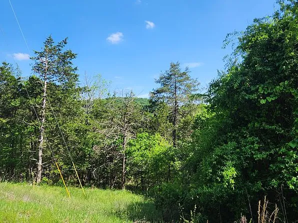 11 Cottonwood Ln, Eureka Springs, AR 72631