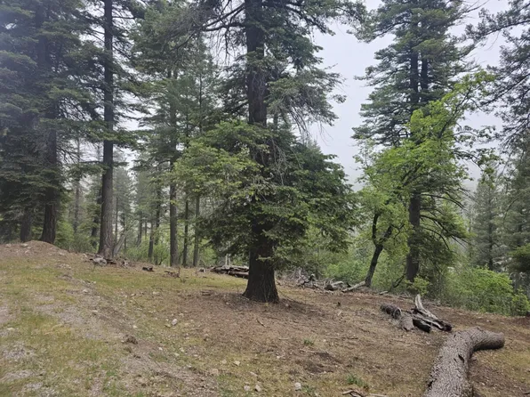 0 Canyon Trl, Cloudcroft, NM 88317