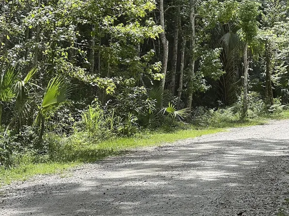 Tangelo Rd, Edgewater, FL 32141