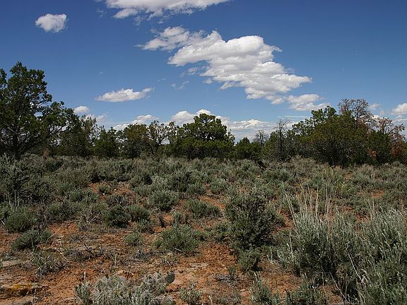 Pinon, juniper and sage