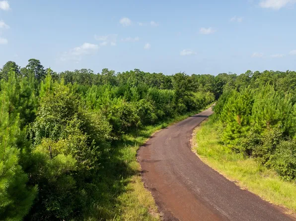 1 Sandy Creek Rd, Zavalla, TX 75980