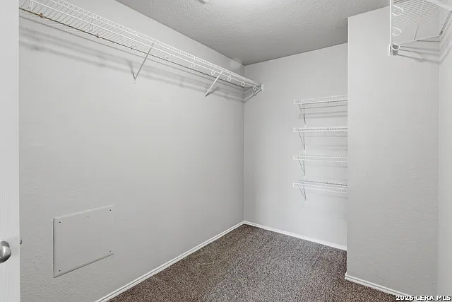 25513 Gold Yarrow — Photo 22