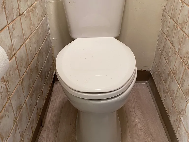 New toilet in basement Powder Room.