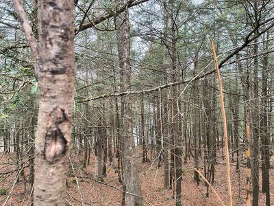 8 Park St #8, Huntington, MA, 01050