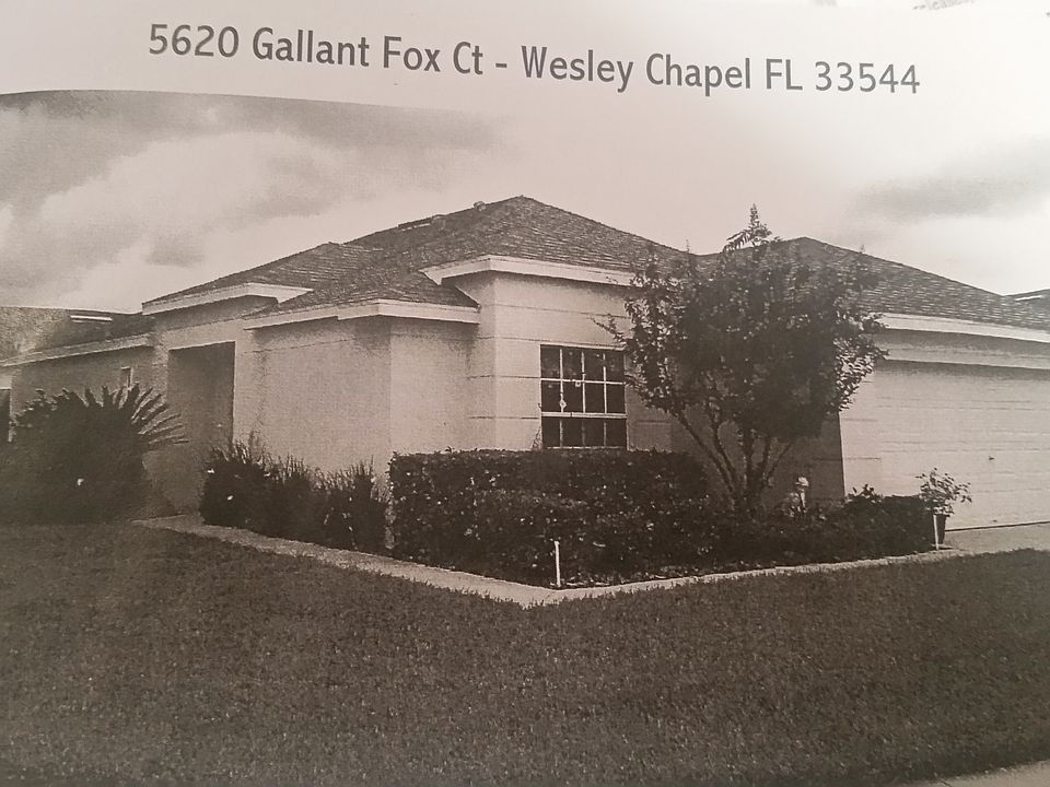 1st image of 5620 Gallant Fox Ct