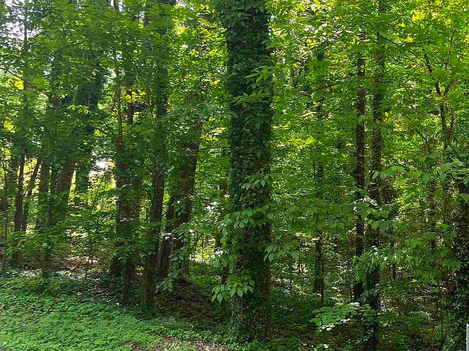 1st image of LOT 17 Creek Cir