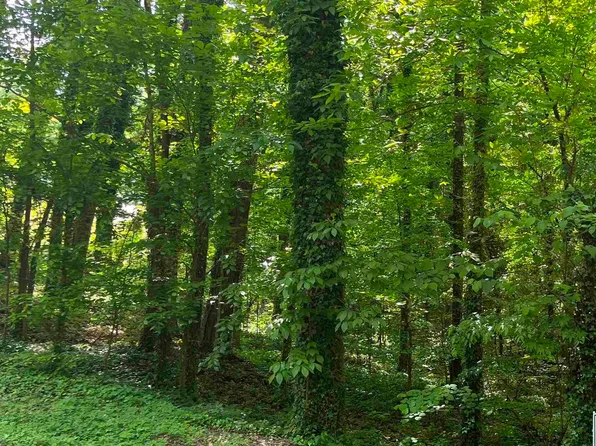 LOT 17 Creek Cir, Guntersville, AL 35976
