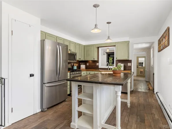 33758 Harmon Road, Pine, CO 80470