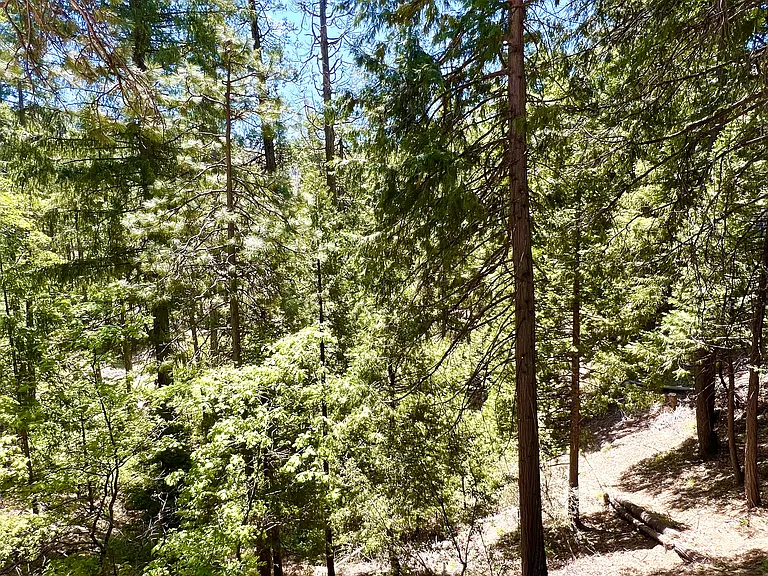 View from back deck