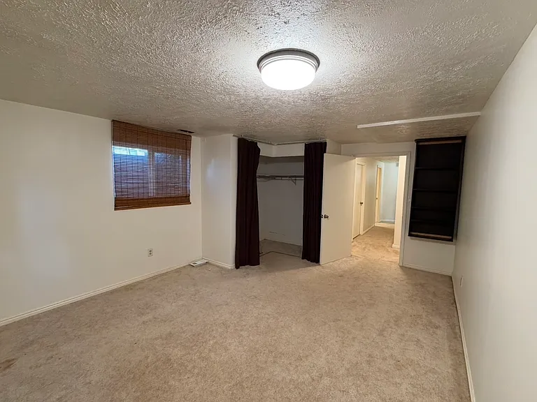 10680 S Carrington St — Photo 29