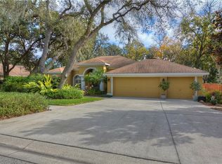 10131 Paddock Oaks Dr, Riverview, FL 33569