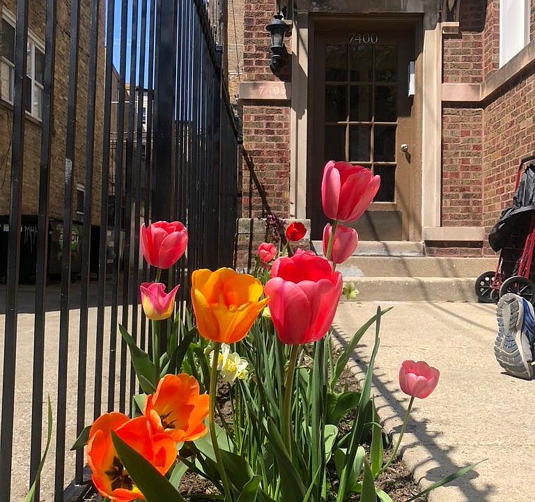 1st image of 7400 N Hoyne Ave APT 3