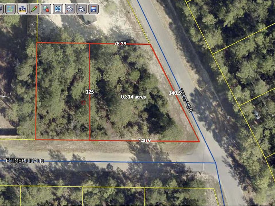 2nd image of 41 E Tiger Lily Ln