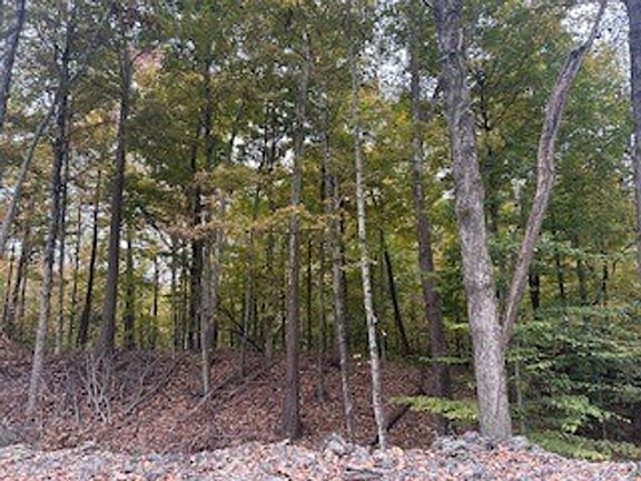 5th image of E Ashboro Rd