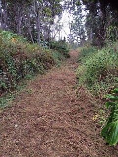 4th image of 92-2017 Palm Pkwy Lot 30