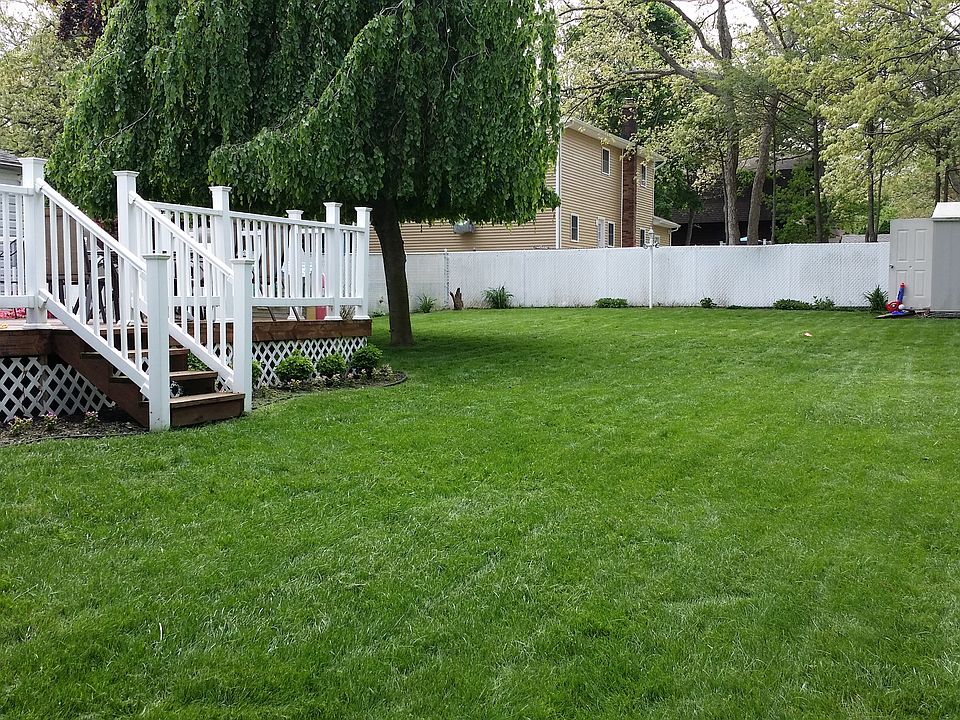 1/4 of Backyard