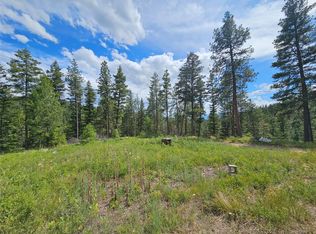 Nhn Buckboard Ln, Florence, MT 59833