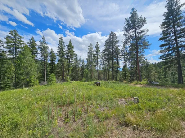Nhn Buckboard Ln, Florence, MT 59833