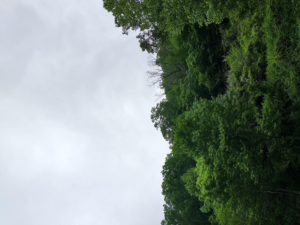 186 Davy Ln, Davy, WV 24828 Zillow