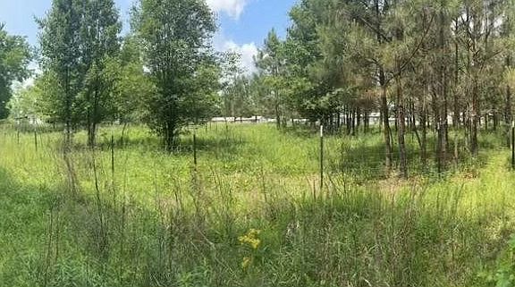 2nd image of 1031 Ridge Rd