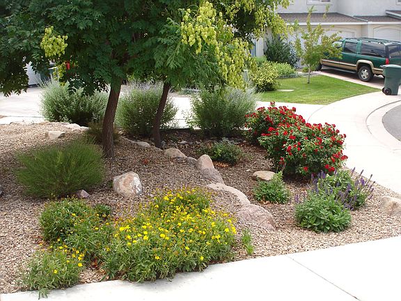 front landscape