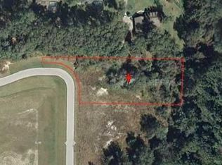 7029 Norne Ln, Mount Dora, FL 32757