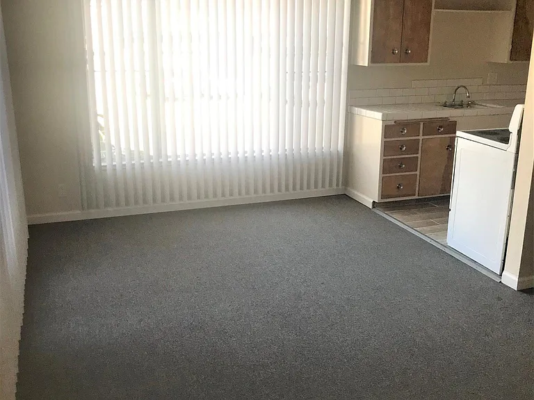 252 Acton Pl #4 — Photo 6