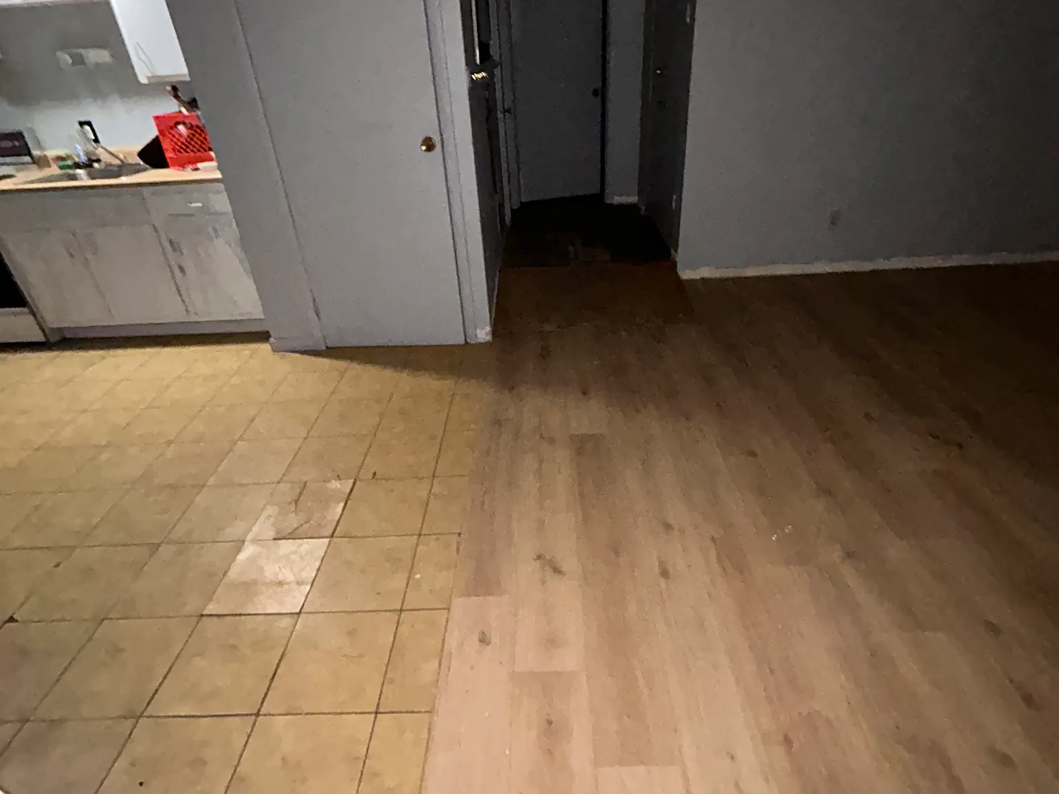 536 Rodi Rd — Photo 3