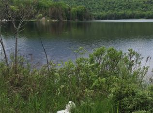 1728 Goodnow Flow Rd, Newcomb, NY 12852