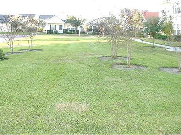 5th image of 15806 W Park Ct