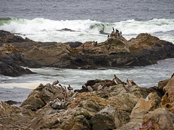 398 Del Mar Point, The Sea Ranch, CA 95497